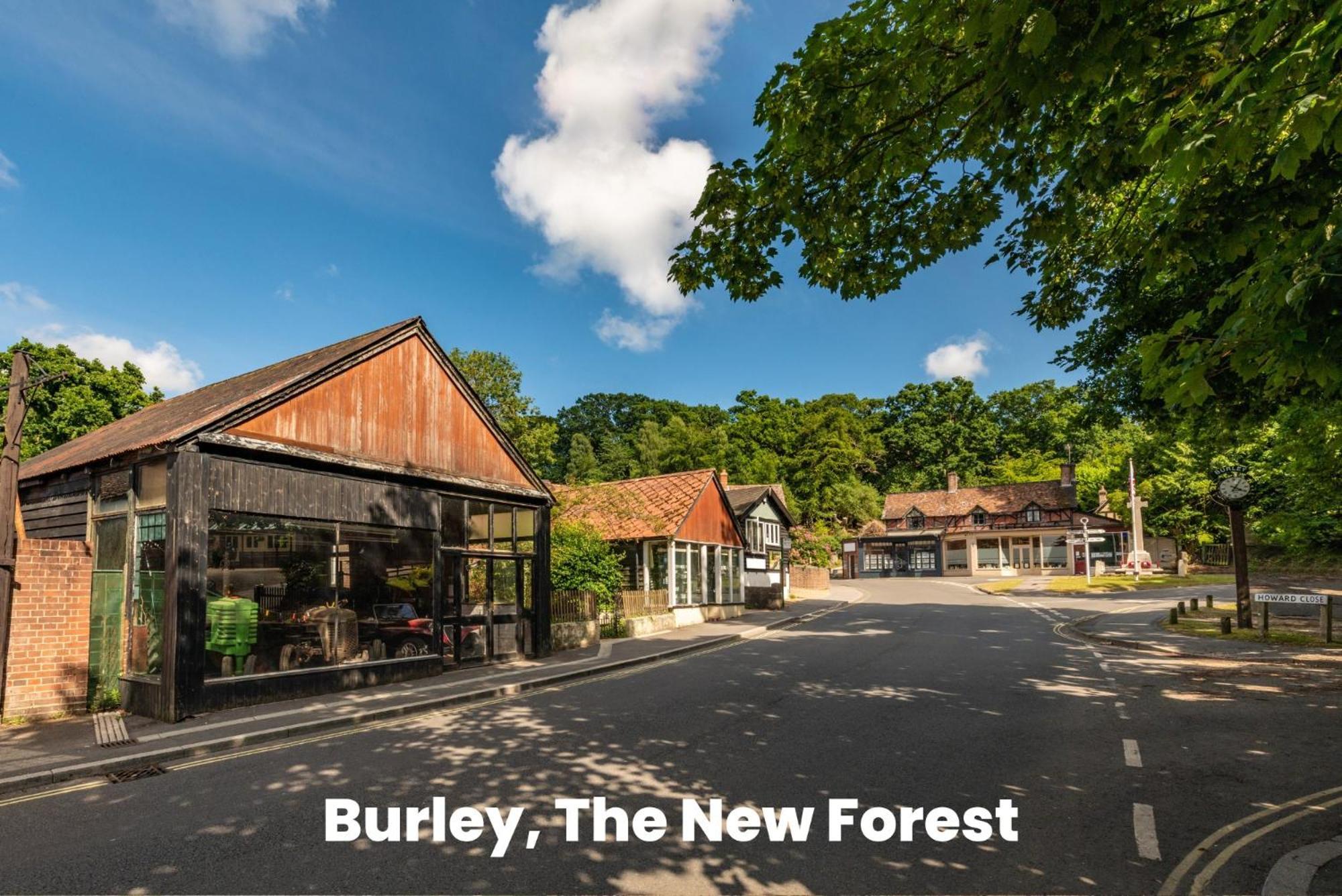 Cosy Retreat Near New Forest * Ellingham (Hampshire)
