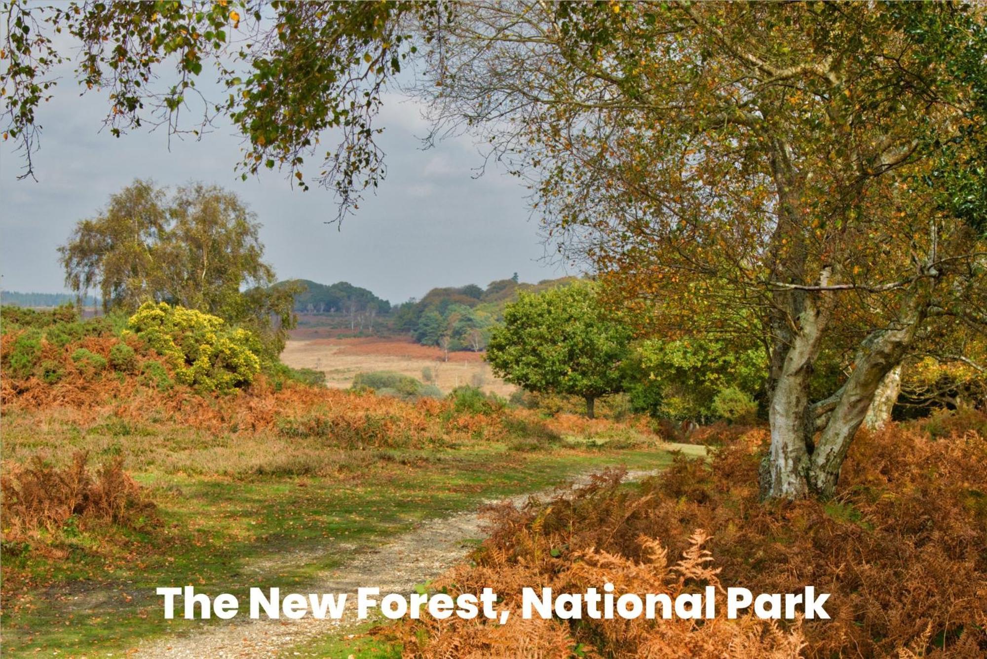 Cosy Retreat Near New Forest Holiday home *