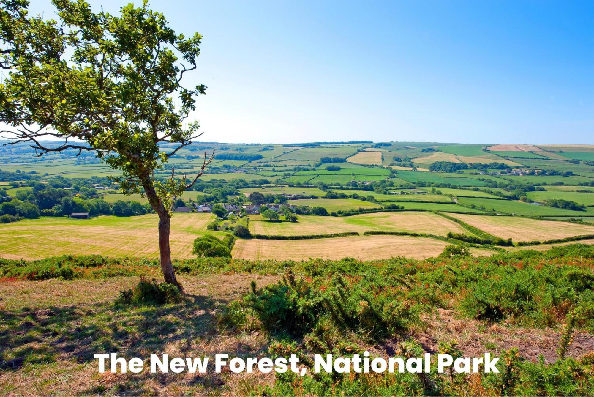 Cosy Retreat Near New Forest Holiday home *
