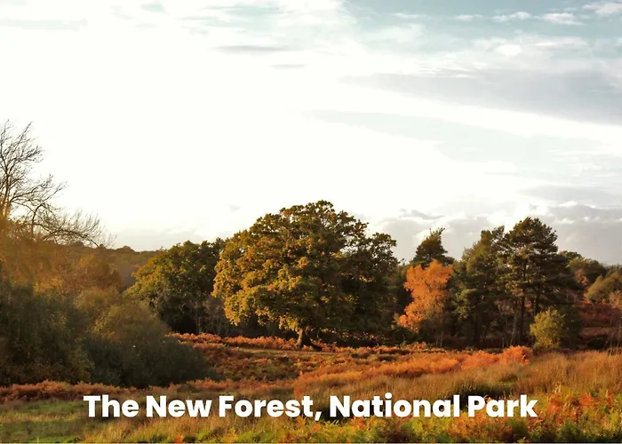 Cosy Retreat Near New Forest